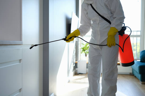 Soap Lake, WA Mold Removal Company