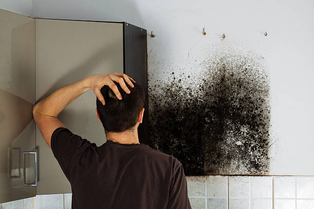 Best Attic Mold Removal  in Soap Lake, WA
